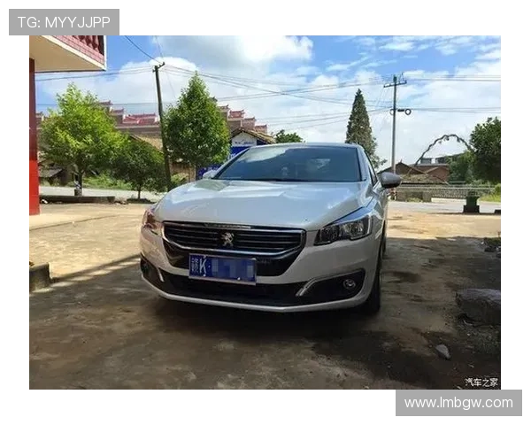 退役球员逆袭质疑终圆梦 全场起立致敬掌声雷动