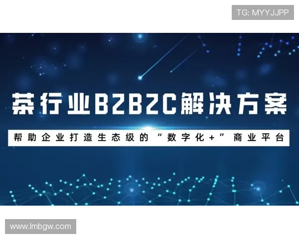星宇体育引领行业革新打造多元化体育生态体系全面提升用户体验