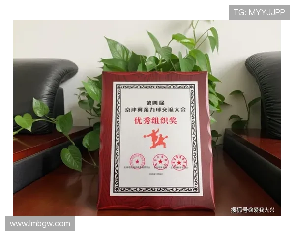 BM体育全新赛事解析与竞技趋势深度报道